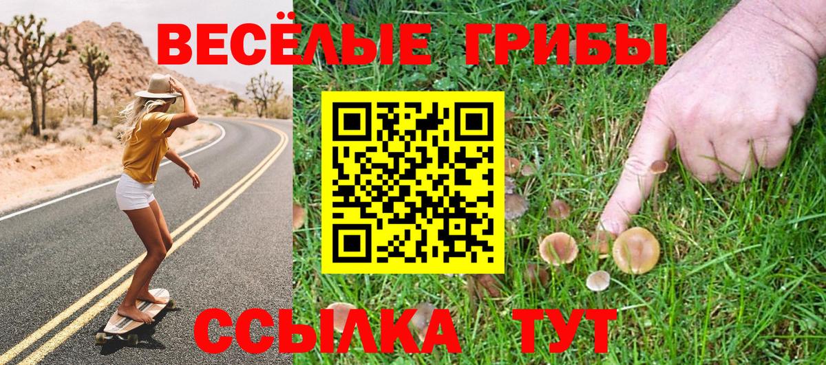 Галлюциногенные грибы GOLDEN TEACHER Магнитогорск