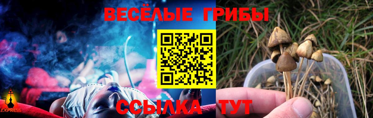 Магнитогорск  Псилоцибиновые грибы GOLDEN TEACHER  Вход с VPN 